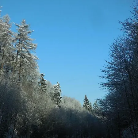 Apartament Klaus Polanica-Zdrój