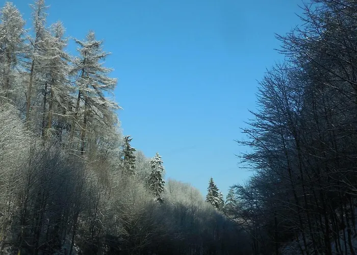 Apartament Klaus Поляница-Здруй