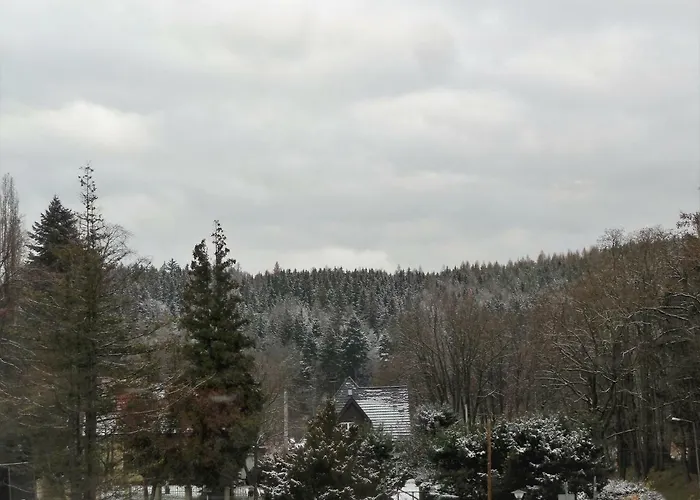 Apartament Klaus Апартаменты *